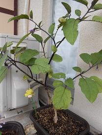 DSCN0218.JPG