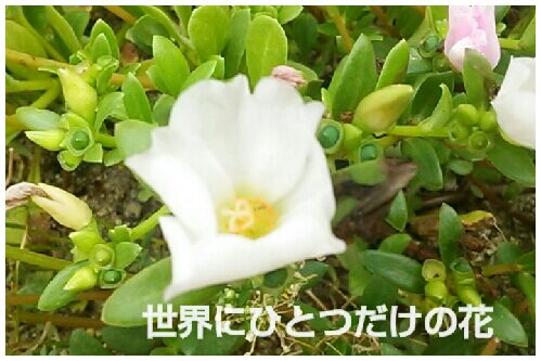 rblog-20160807182931-00.jpg