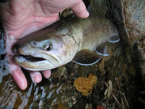 2012.04.21 016S.JPG
