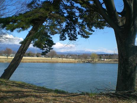 公園