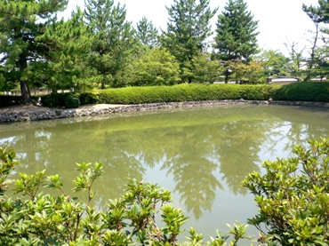 104.JPG