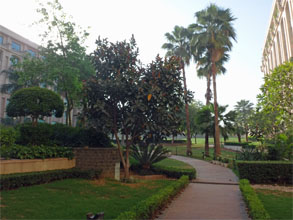 インド104.jpg