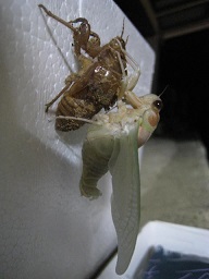 IMG_7502 縮小 - コピー.jpg