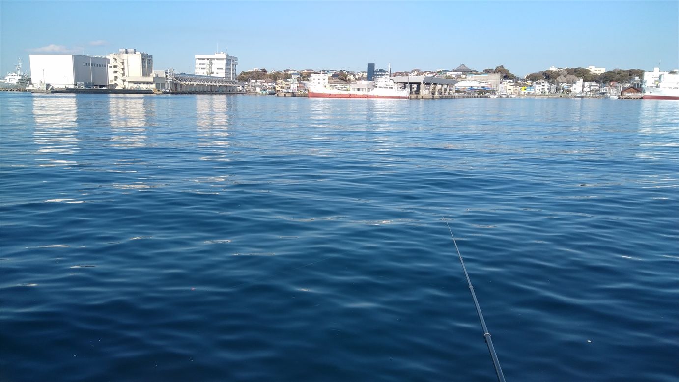19年1月中旬 城ケ島 パックロッド生活 楽天ブログ