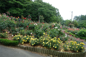 佳松園102.jpg