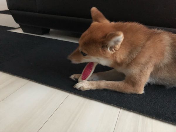 rblog-20180111105003-02.jpg