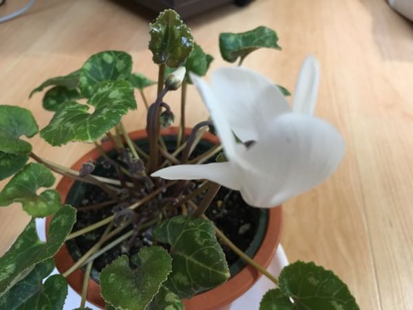 rblog-20171012161737-02.jpg