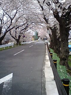 厚木トンネル.jpg