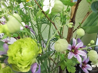 DSCF8014.jpg