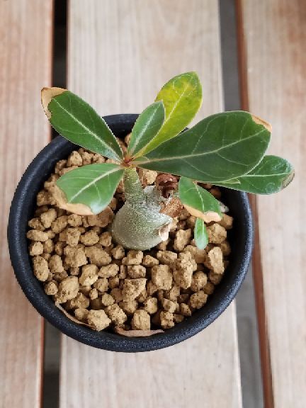 rblog-20180921111648-05.jpg
