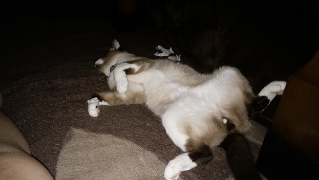ライ