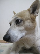 IMG_0623.JPG