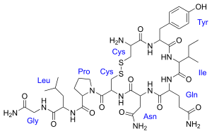 300px-Oxytocin_svg.png