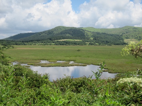 八島ヶ原湿原