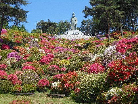 つつじ寺 塩船観音寺 青梅市 その２ Shinanonokuniのブログ２ 楽天ブログ