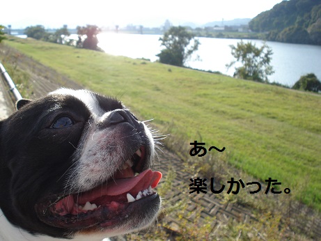 DSC05142.jpg