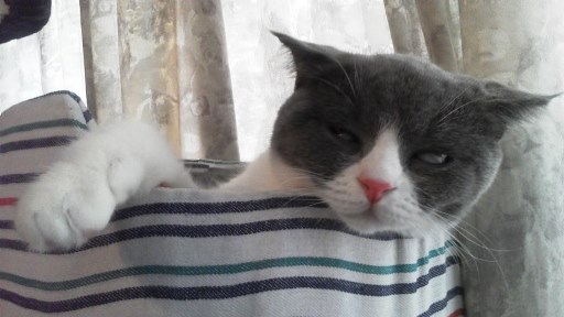 20140926133557.jpg