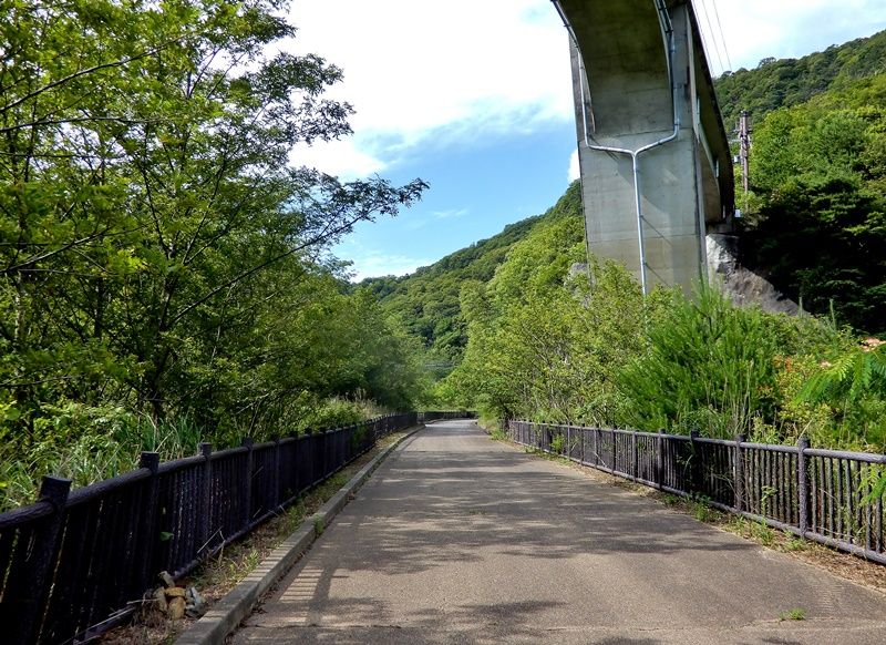 遊歩道7