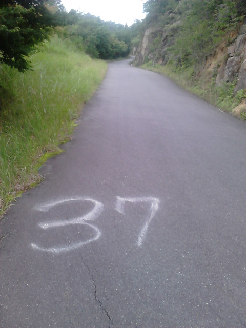 37