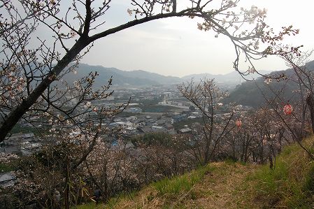 s-DSC_0510.jpg