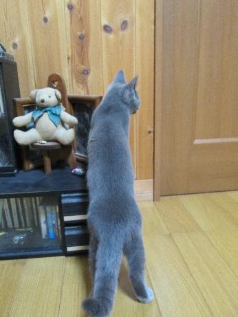 ついにまちきれなくなってます.JPG