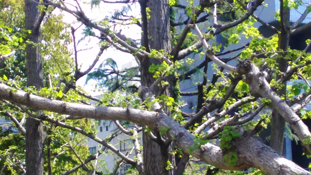 190420173