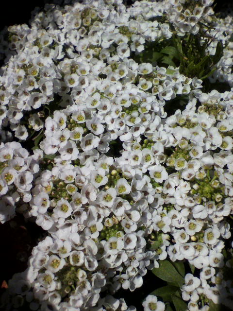 2012121912530000.jpg