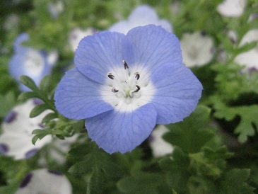 IMG_8421.JPG