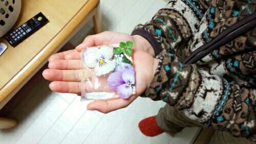 rblog-20160124202533-02.jpg