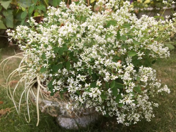 rblog-20160811142710-04.jpg