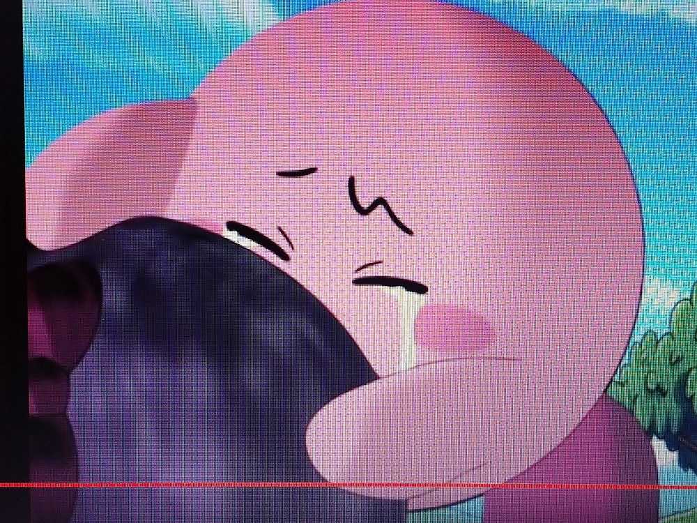 My Favorite Kirby Faces 第3ブログ Zect 楽天ブログ