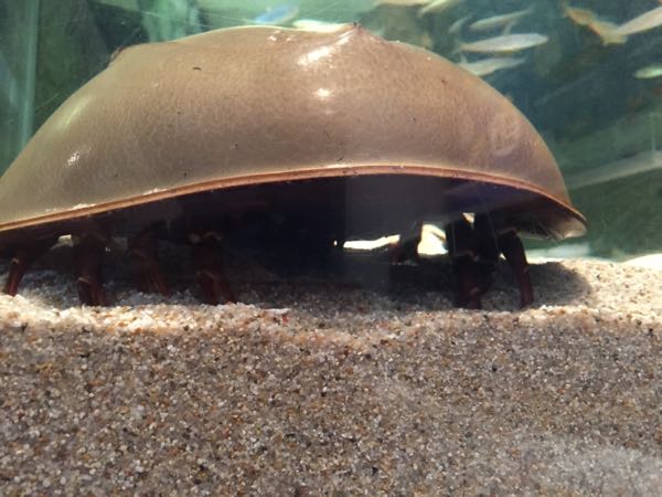 rblog-20160519063249-01.jpg