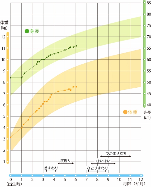 駿ちゃんの発育曲線_0歳6か月 (518x640).jpg
