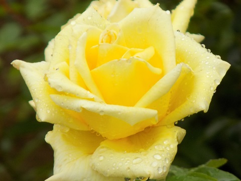 DSCN0475.JPG