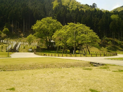 現地で見ると感動します