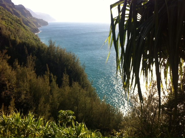 View from Kalalau trail 奥に見えるのはナパリコースト.jpeg