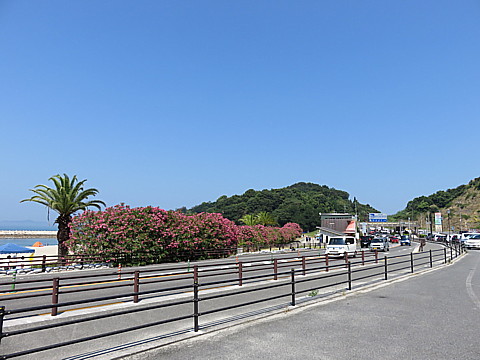 IMG_4387.jpg