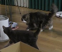 5DA_4409-19.jpg