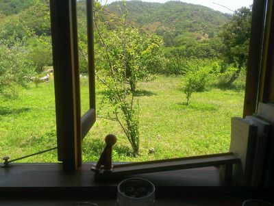 IMAG0210.jpg