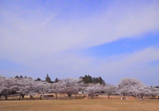 柏原池公園４