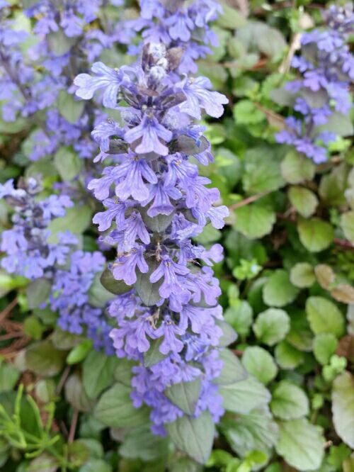 rblog-20160504205645-01.jpg