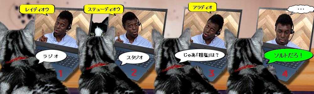 耳（ミミ）とチャッピの布団