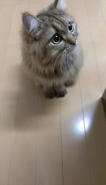rblog-20141204225356-02.jpg
