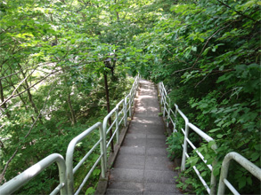 夏油11.jpg