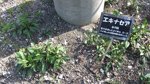117.JPG