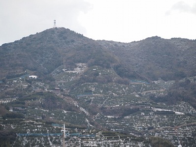 s-P1253430.jpg