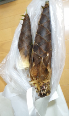 加須3.jpg
