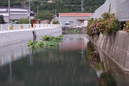 s-DSC_0405.jpg