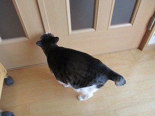 IMG_3658ss.jpg