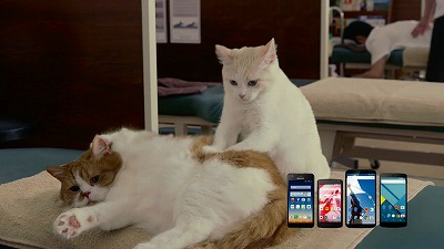 ふてニャン２